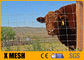 PVC سياج المزرعة المعدنية المغلفة 1400 ميجا باسكال لوحات سياج الماشية