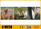 20 شبكة سلكية أرنب الدجاج شبكة سداسية دواجن المعاوضة 3/4 &quot;دليل على الحمض